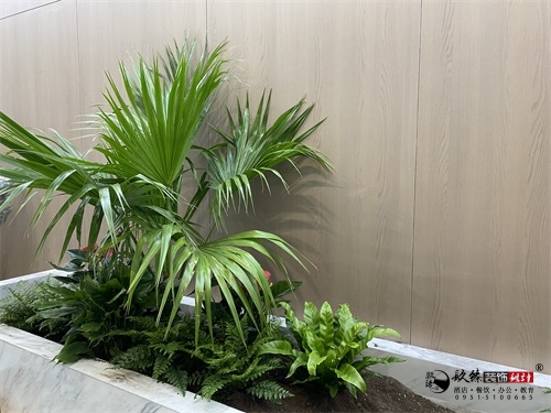 ykbO(sh)ӋD|NO(sh)Ӌ