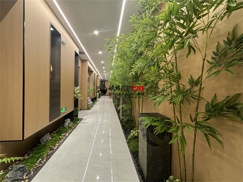 y^bO(sh)Ӌ(xing)Ŀ|Nb