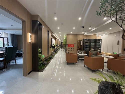 y^bO(sh)Ӌ(xing)Ŀ|Nb