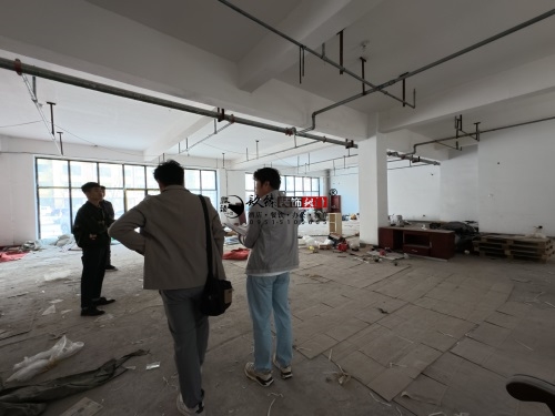 y͏dO(sh)Ӌ(j)b(xing)Ŀ|Nb