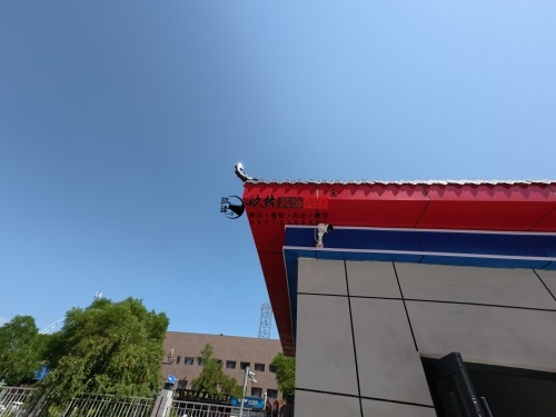 yt(y)^O(sh)Ӌ(j)b(xing)Ŀ|Nb